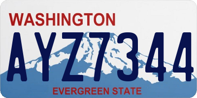 WA license plate AYZ7344