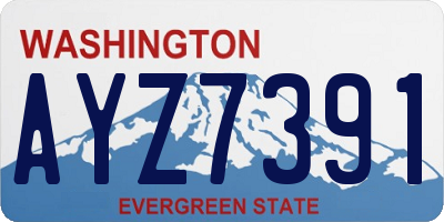 WA license plate AYZ7391