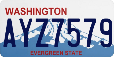 WA license plate AYZ7579