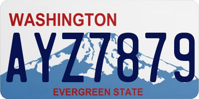 WA license plate AYZ7879