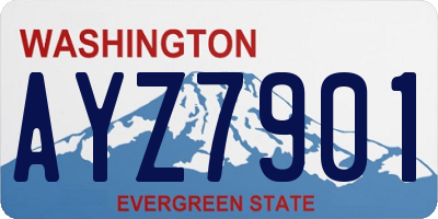 WA license plate AYZ7901