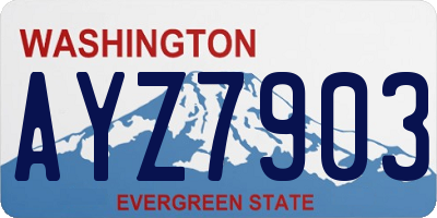 WA license plate AYZ7903