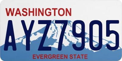 WA license plate AYZ7905