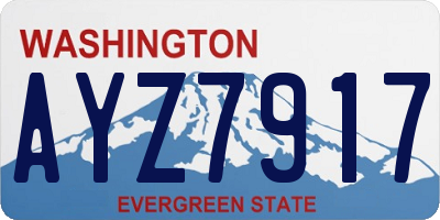 WA license plate AYZ7917