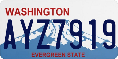 WA license plate AYZ7919
