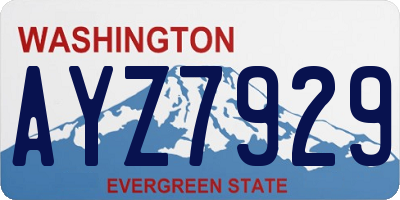 WA license plate AYZ7929