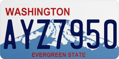 WA license plate AYZ7950