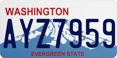 WA license plate AYZ7959