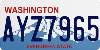 WA license plate AYZ7965