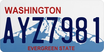 WA license plate AYZ7981