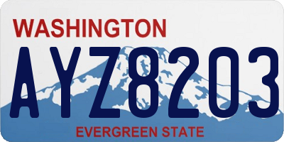 WA license plate AYZ8203