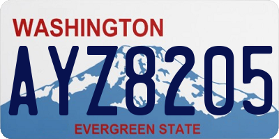 WA license plate AYZ8205