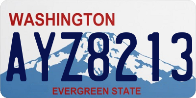 WA license plate AYZ8213