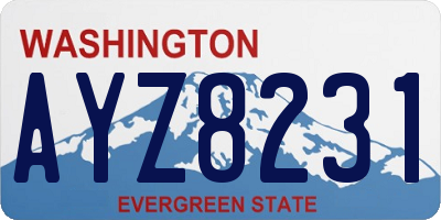 WA license plate AYZ8231