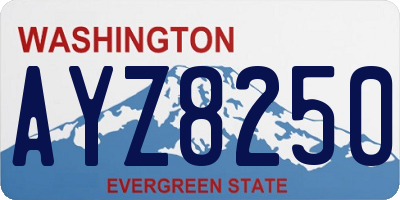 WA license plate AYZ8250