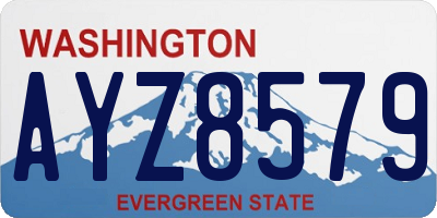 WA license plate AYZ8579