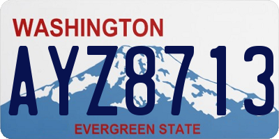 WA license plate AYZ8713