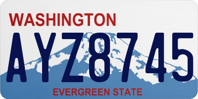 WA license plate AYZ8745