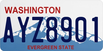 WA license plate AYZ8901