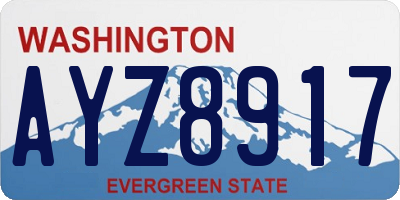 WA license plate AYZ8917