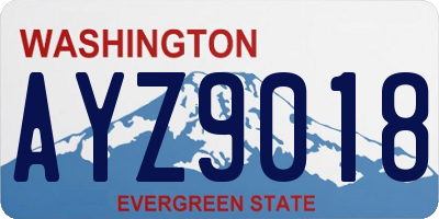 WA license plate AYZ9018