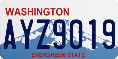 WA license plate AYZ9019