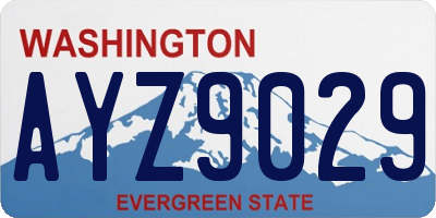 WA license plate AYZ9029