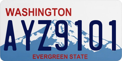 WA license plate AYZ9101