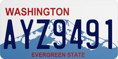 WA license plate AYZ9491