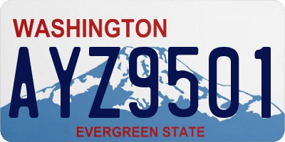 WA license plate AYZ9501