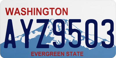 WA license plate AYZ9503