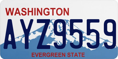 WA license plate AYZ9559