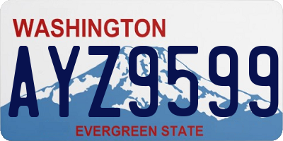 WA license plate AYZ9599