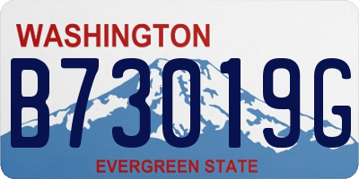 WA license plate B73019G