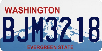 WA license plate BJM3218