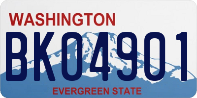 WA license plate BK04901