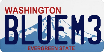 WA license plate BLUEM3