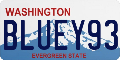 WA license plate BLUEY93