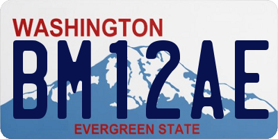 WA license plate BM12AE