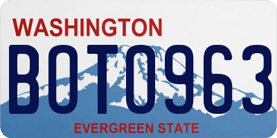 WA license plate BOTO963