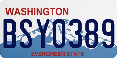 WA license plate BSY0389