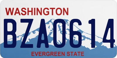 WA license plate BZA0614