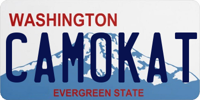 WA license plate CAMOKAT