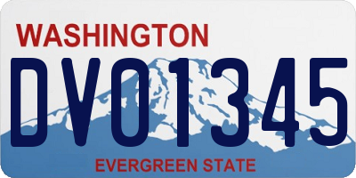 WA license plate DV01345