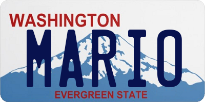 WA license plate MARIO