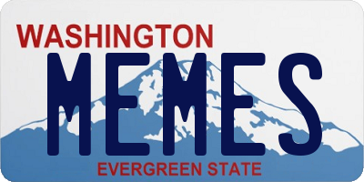 WA license plate MEMES