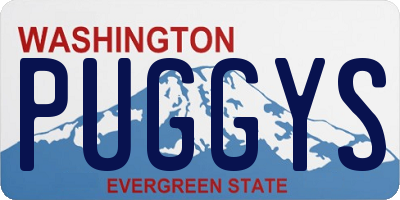 WA license plate PUGGYS