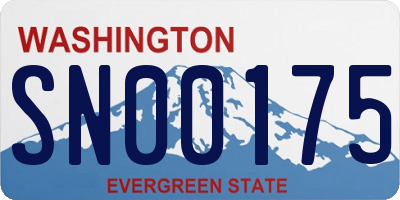 WA license plate SN00175