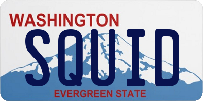 WA license plate SQUID