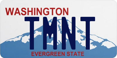 WA license plate TMNT